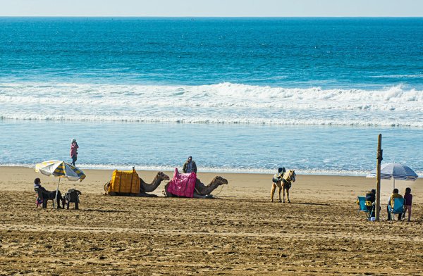 Agadir activités : vivre l'aventure et la découverte à chaque pas
